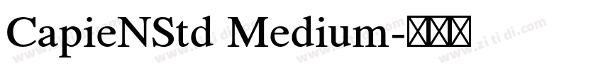 CapieNStd Medium字体转换
